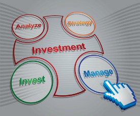 investment portfolio